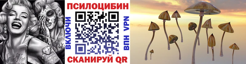 Псилоцибиновые грибы Psilocybine cubensis  Дыгулыбгей 